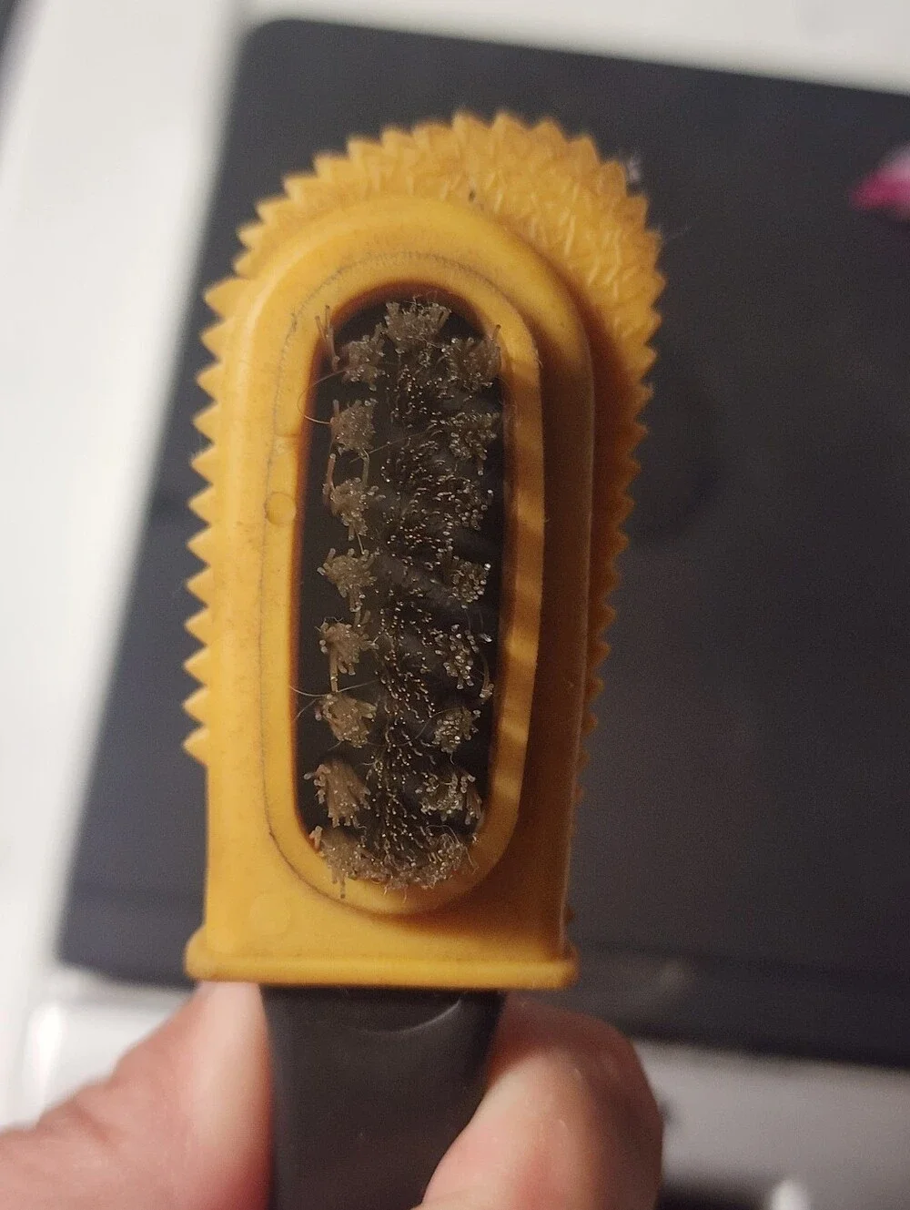 Kiwi Suede & Nubuck Brush With Box
